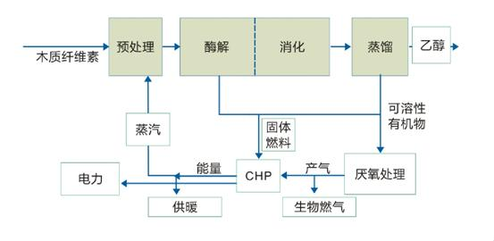 4. Cellulose stuthan amh