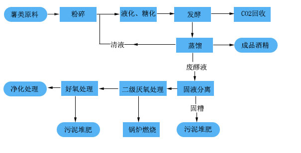 2. Potato raw materials